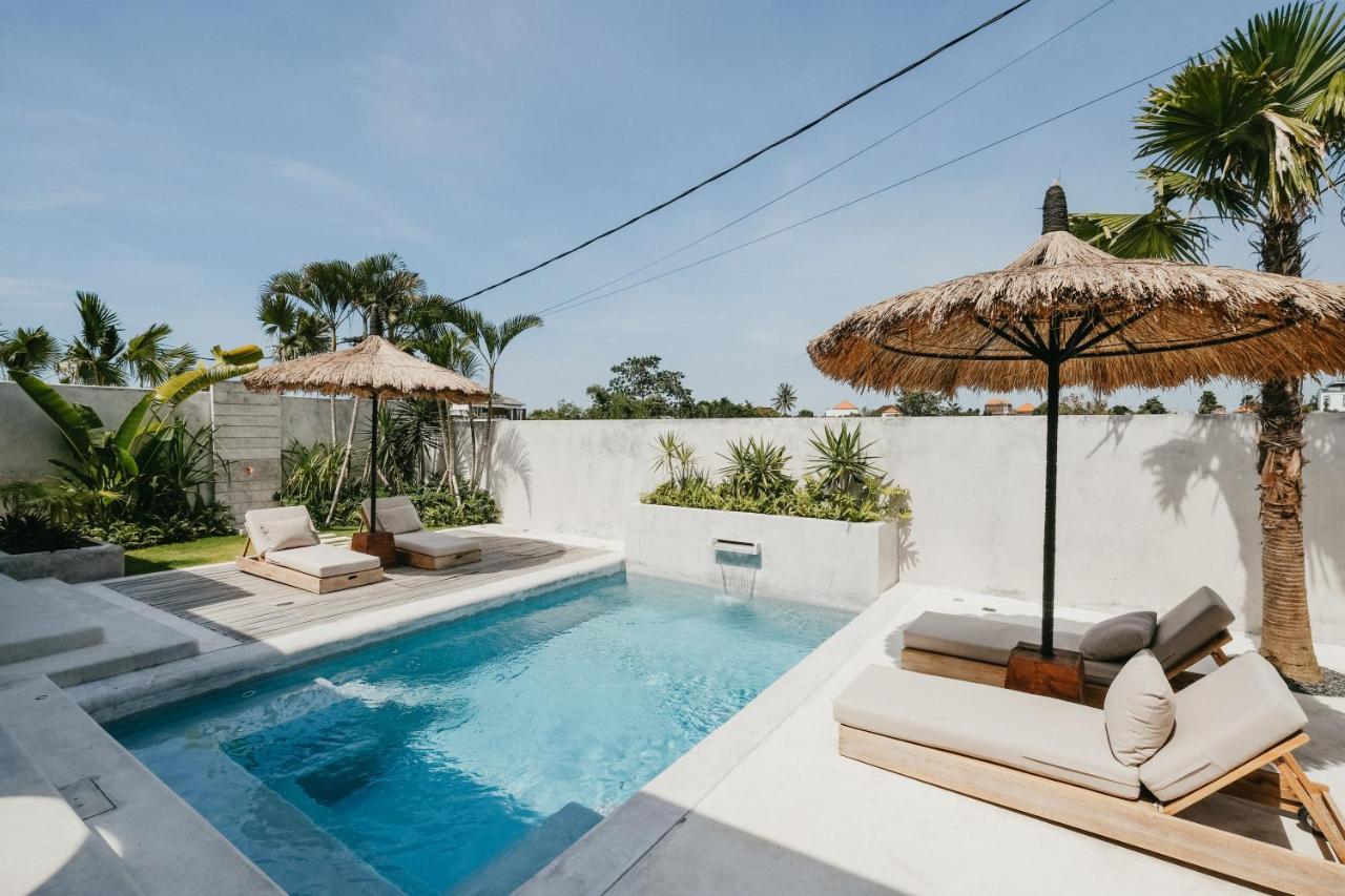 Concrete Retreat Umalas Villa Canggu Dış mekan fotoğraf